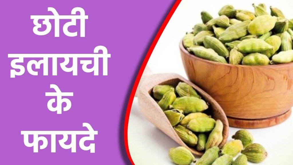 Health Updates - A Little Cardamom and so many benefits (एक छोटी इलायची और इतने सारे लाभ)